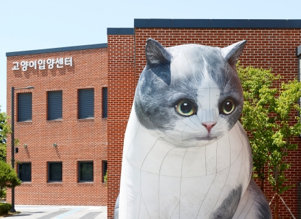 [‘행복한 동행’ 반려마루] ① 반려마루 화성 고양이 입양센터