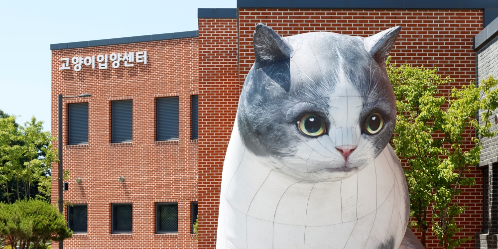 [‘행복한 동행’ 반려마루] ① 반려마루 화성 고양이 입양센터