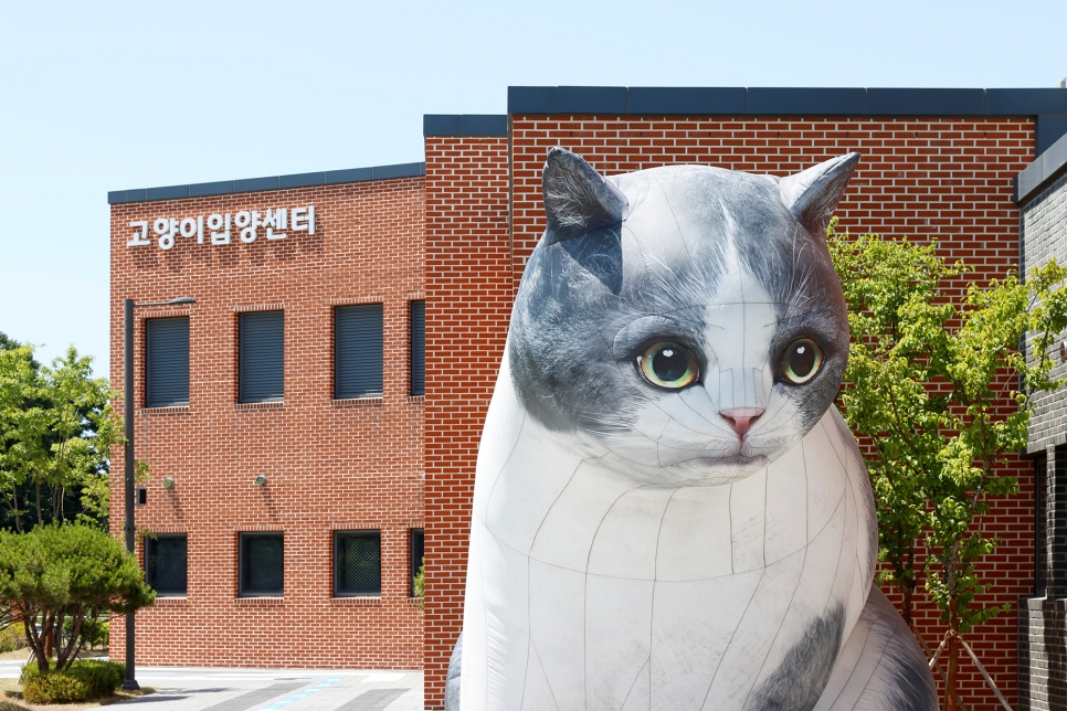 ‘고양이 입양센터’는 전국 광역자치단체 최초 고양이 입양을 위한 전문센터로 보호사, 놀이공간, 입양상담실, 자묘실, 미용실, 검역실, 격리실 그리고 동물병원으로 구성돼 있다.