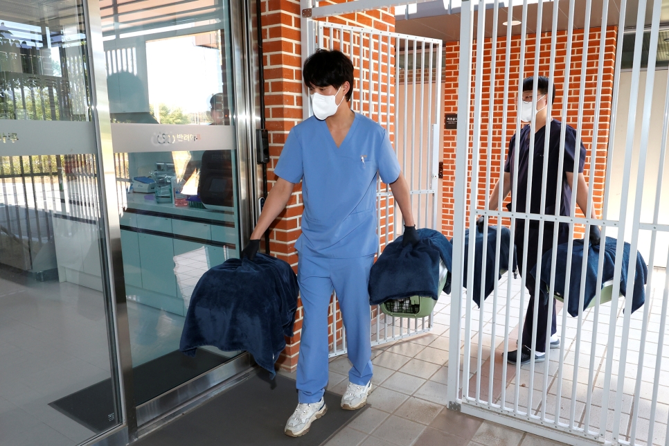 현재 고양이 입양센터에 머물고 있는 고양이들은 약 50마리로, 센터에는 평균 40~50마리를 보호하고 있다. 이 고양이들은 시·군 동물보호센터에서 선별된 고양이들이다.