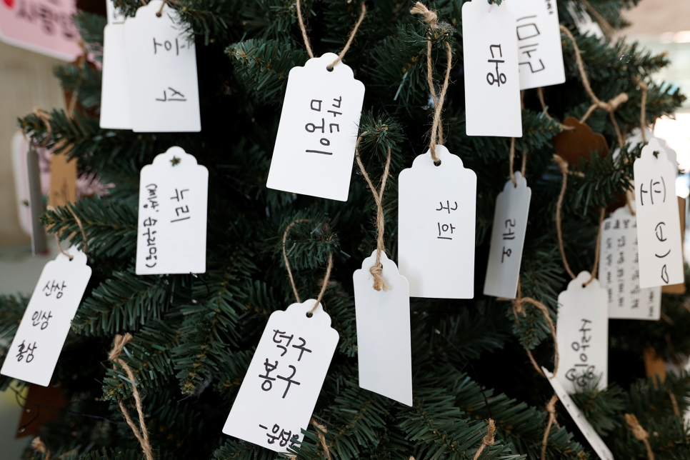 고양이 입양센터 내 고양이들은 직원들이 직접 작명한 이름외에도 방문자, 입양예정자, 봉사자들의 의견이 반영된 이름도 있다. 그 의견들은 센터 내 마련돼 있는 네임트리를 통해 제시할 수 있다.