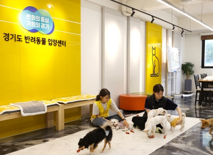 [‘행복한 동행’ 반려마루] ② 경기도 반려동물 입양센터(수원)