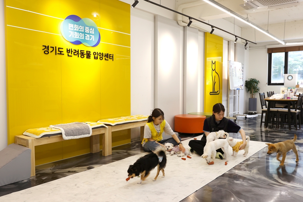 경기도 반려동물 입양센터는 2020년 문을 연 이래로 새로운 반려동물 문화의 패러다임을 제시하며 그 행보를 이어가고 있다.