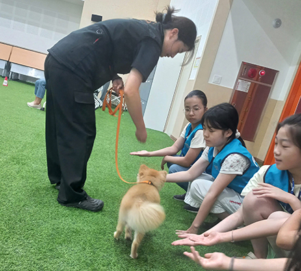 반려마루 여주에서 ‘소중한 생명’ 반려견에 대해 배워요! 
