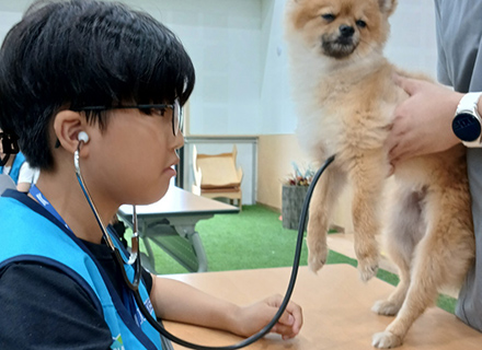 반려동물을 사랑하는 사람들이 함께하는 공간, `반려마루` 이미지
