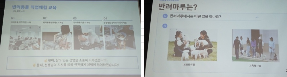 반려동물 직업체험 교육