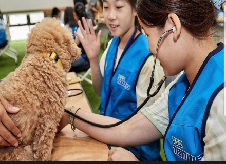 반려동물 사지 말고 반려마루에서 입양하세요~