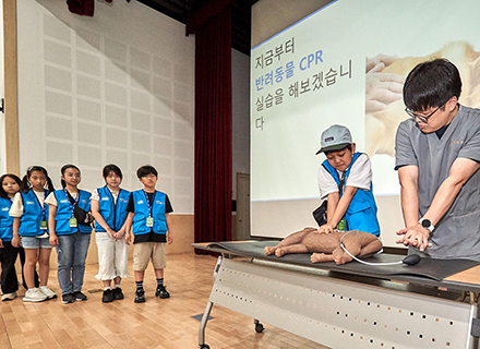 귀여움 주의, 사랑스러움 주의! 입양 유발 구역 ‘반려마루’