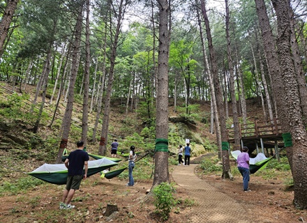 “더위에 지쳤다면 숲에서 힐링하세요.” 경기도, 산림치유 프로그램 인기리에 운영