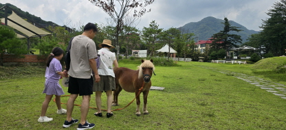 도심에서 만나는 이색 경기도 가족 여행지, 남양주 비스타밸리