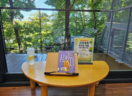 도심 속 나만의 오두막 도서관, 광교푸른숲도서관 `푸른숲 책뜰` 이미지