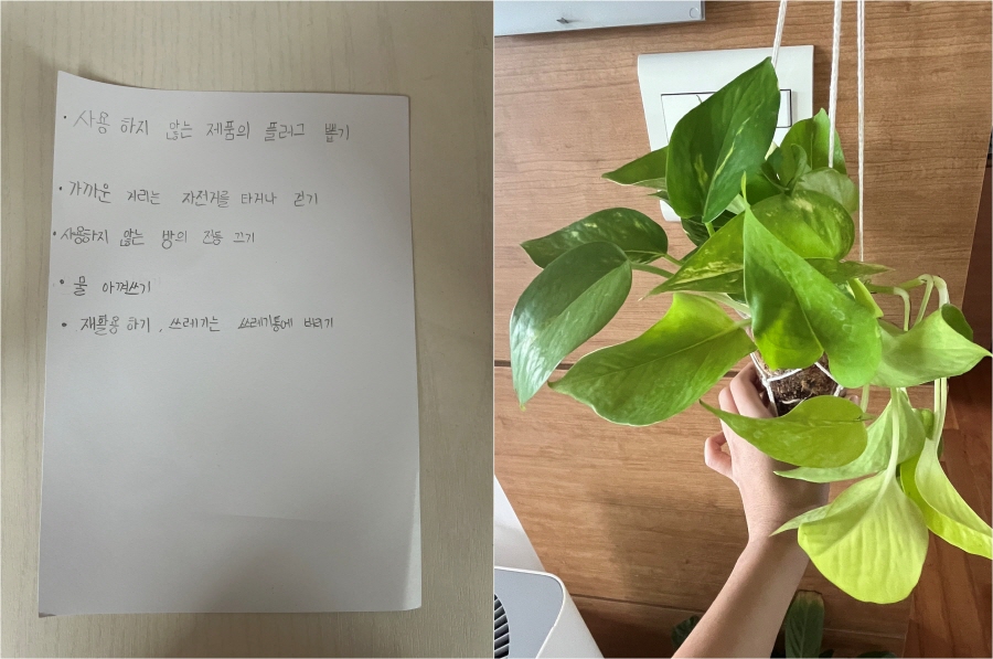 지구를 살리기 위한 실천사항, 행잉 식물