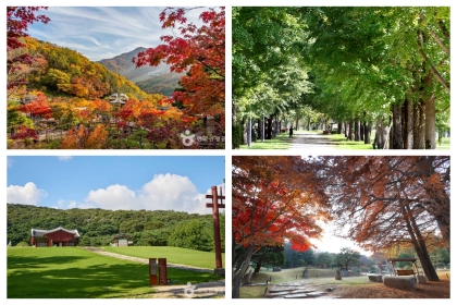 11월 경기도 가을 명소