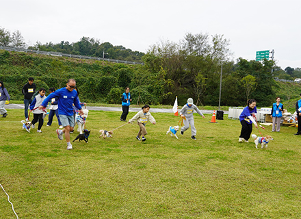 [도민과 함께하는 11월의 경기] ③ 반려동물 복합문화시설 ‘반려마...