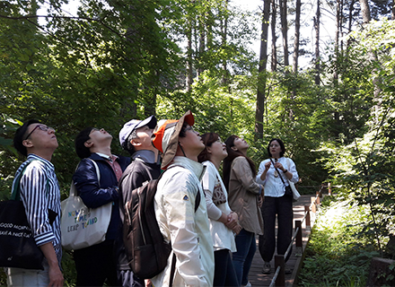 [경기 피톤치드 투어] ① 가평 경기도잣향기푸른숲 & 청평자연휴양림