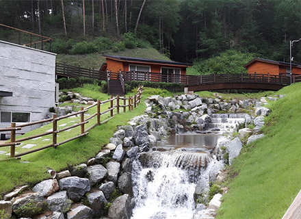  [경기 피톤치드 투어] ③ 양평 - 국립양평치유의숲 & 중미산자연...