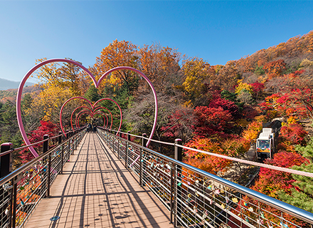 [경기 피톤치드 투어] ⑤ (광주) 화담숲 & (오산) 독산성산림욕...