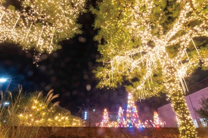 연말 로맨스는 경기도에서! 2025 크리스마스 데이트 명소