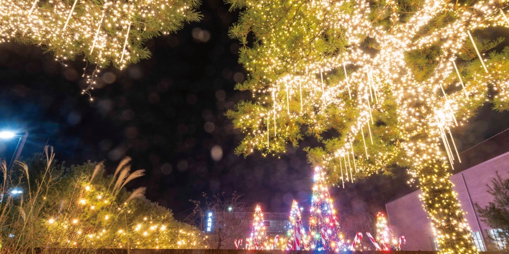 연말 로맨스는 경기도에서! 2025 크리스마스 데이트 명소