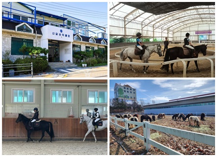 [붉은말의 해, 우리 동네 승마장은 어디?] ① 용인·안성 편