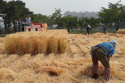 [2026년 더 좋아지는 경기도]④농어업‧축산‧산림 분야