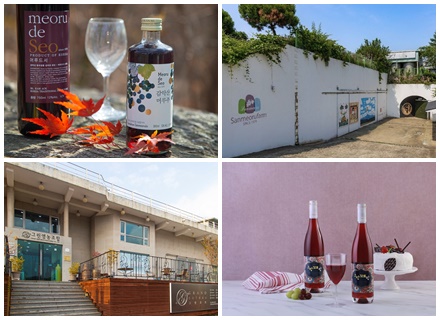 [경기 술도가 여행] ② 서부 편…산머루농원, 그랑꼬또