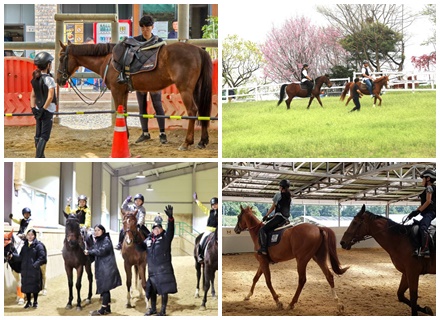 [붉은 말의 해, 우리 동네 승마장은 어디] ③ 이천 편
