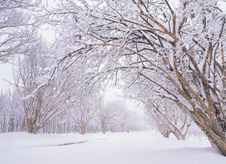 [달달한 경기도 즐길거리] ㉒ 용인·오산 편