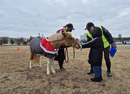 [붉은 말의 해, 우리 동네 승마장은 어디?] ④ 안산 편