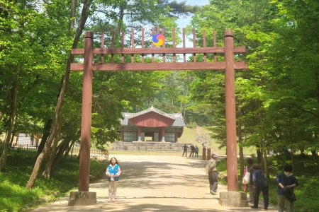 [시간을 걷다, 남양주의 숨은 역사를 찾아서 2] 숲속에 잠든 권력 이야기, 광릉!