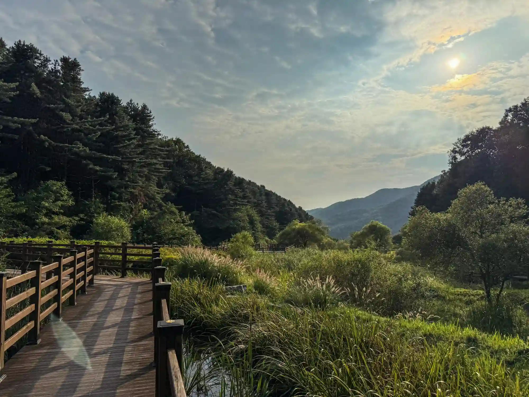 이미지설명