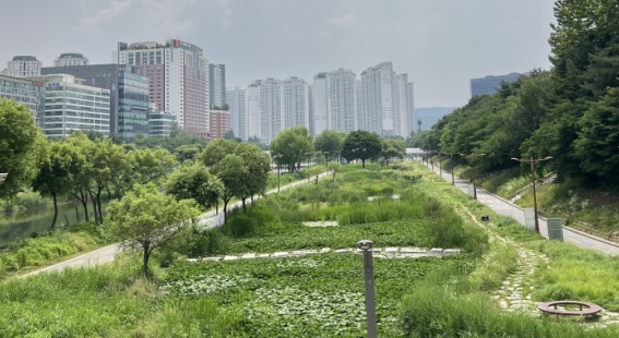 수질 정화·생물다양성·시민 모니터링까지, 도심 속 생태 인프라를 직접 걷다