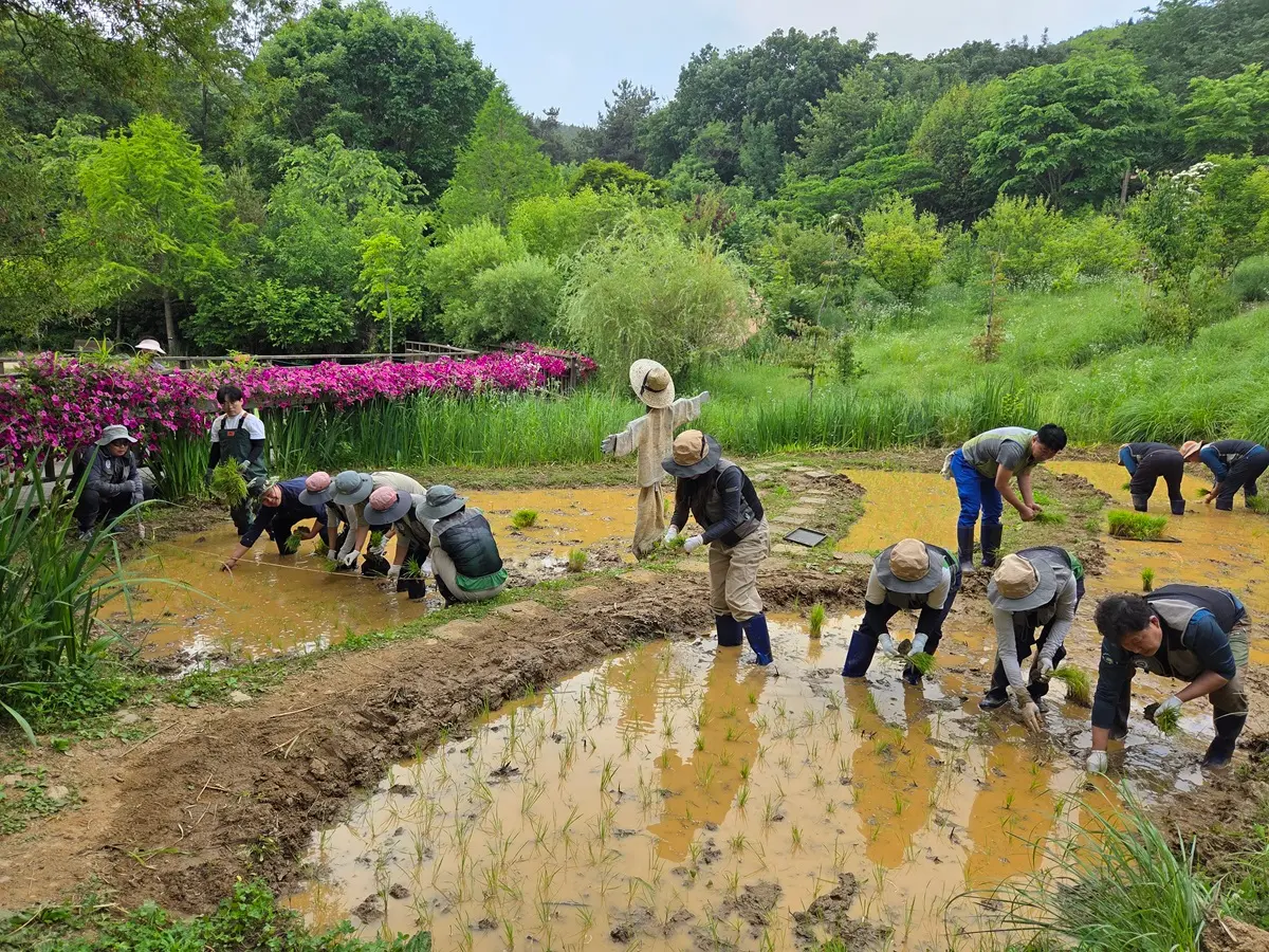 이미지설명