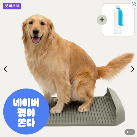 “반려인들과 함께하는 6월”… 경기도, 중소기업 펫용품 1,500종 ‘최대 30%’ 할인