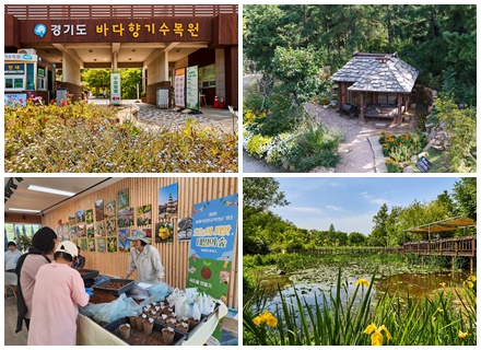 숲과 바다가 만나는 특별한 공간‥“안산 ‘바다향기수목원’에서 자연을 즐겨보세요!”