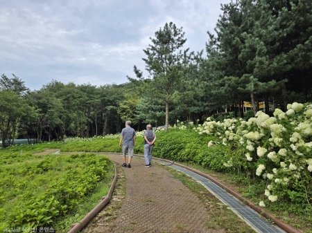 폭염도 잊게 하는 시원한 숲캉스! 경기북부 가볼 만한 곳, 의정부 자일산림욕장과 메모리얼파크