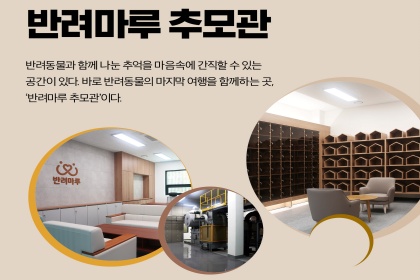 [카드뉴스] 경기도 반려마루 추모관 이미지