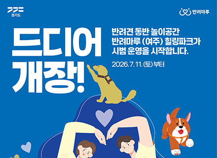 반려견도, 사람도 행복한 하루…반려마루 여주, 야외 놀이시설 임시 ...