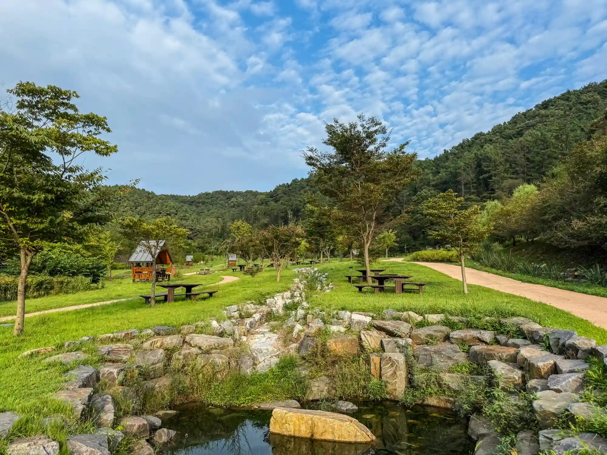 이미지설명