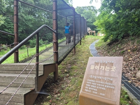 여름방학 가볼 만한 피서지는? ‘용인자연휴양림’에서 즐기는 자연의 향기 