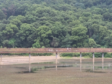 도심 속 쉼표, 자연과 주민이 함께 가꾸는 ‘시흥 물왕호수’를 걷다