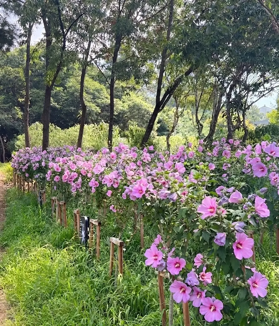 이미지설명