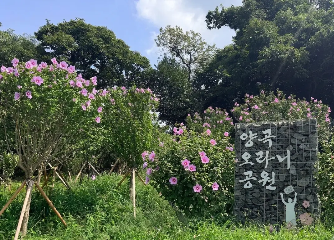 이미지설명
