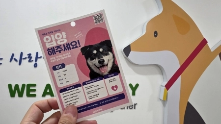 검은 개의 날 반려마루 여주에서 만난 검은 털 친구들, 입양을 꺼린다고?