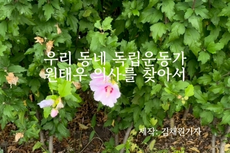 [영상뉴스] 우리 동네 독립운동가...원태우 의사를 찾아서