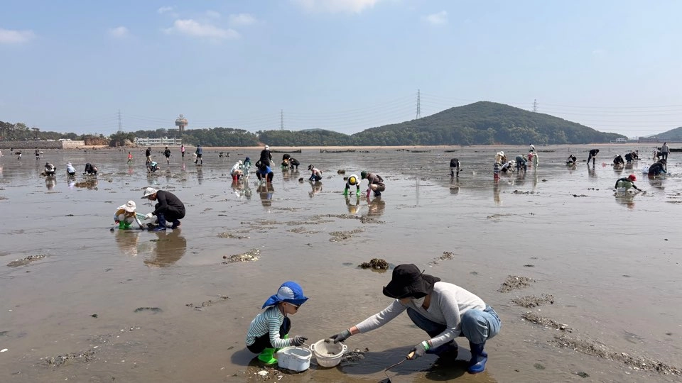 이미지설명