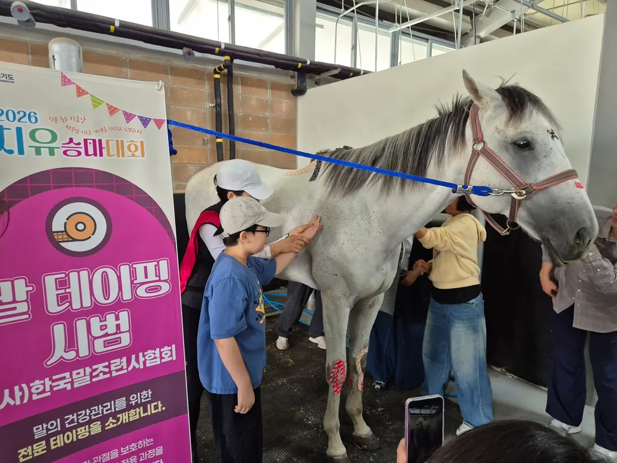 이미지설명