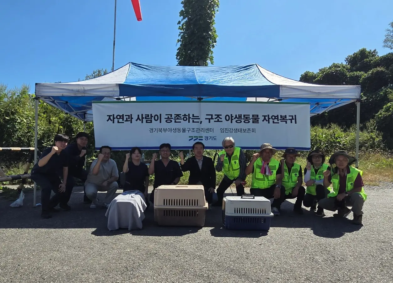 이미지설명