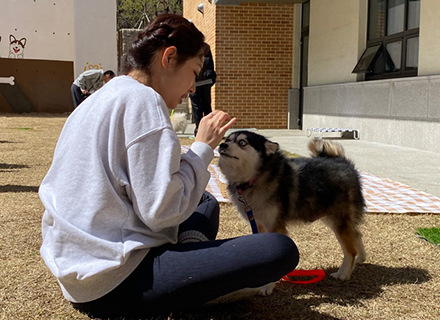 경기도, 반려동물 책임문화 확산하고 도내 기업 판로 넓힌다