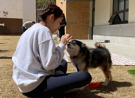경기도, 반려동물 책임문화 확산하고 도내 기업 판로 넓힌다